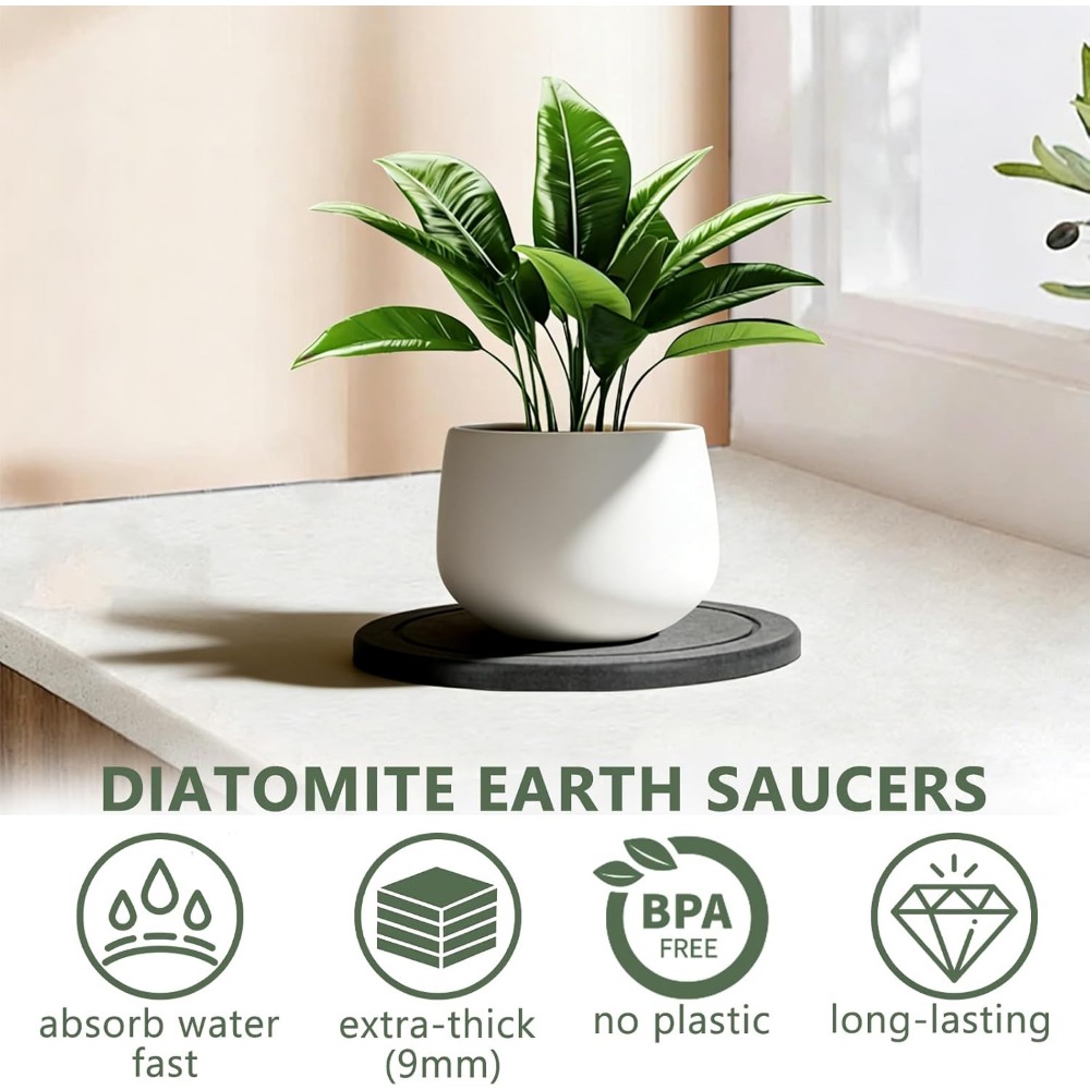 3Pcs/Set Diatomaceous Earth Pl - Drip Tray Saucer 评论和价格