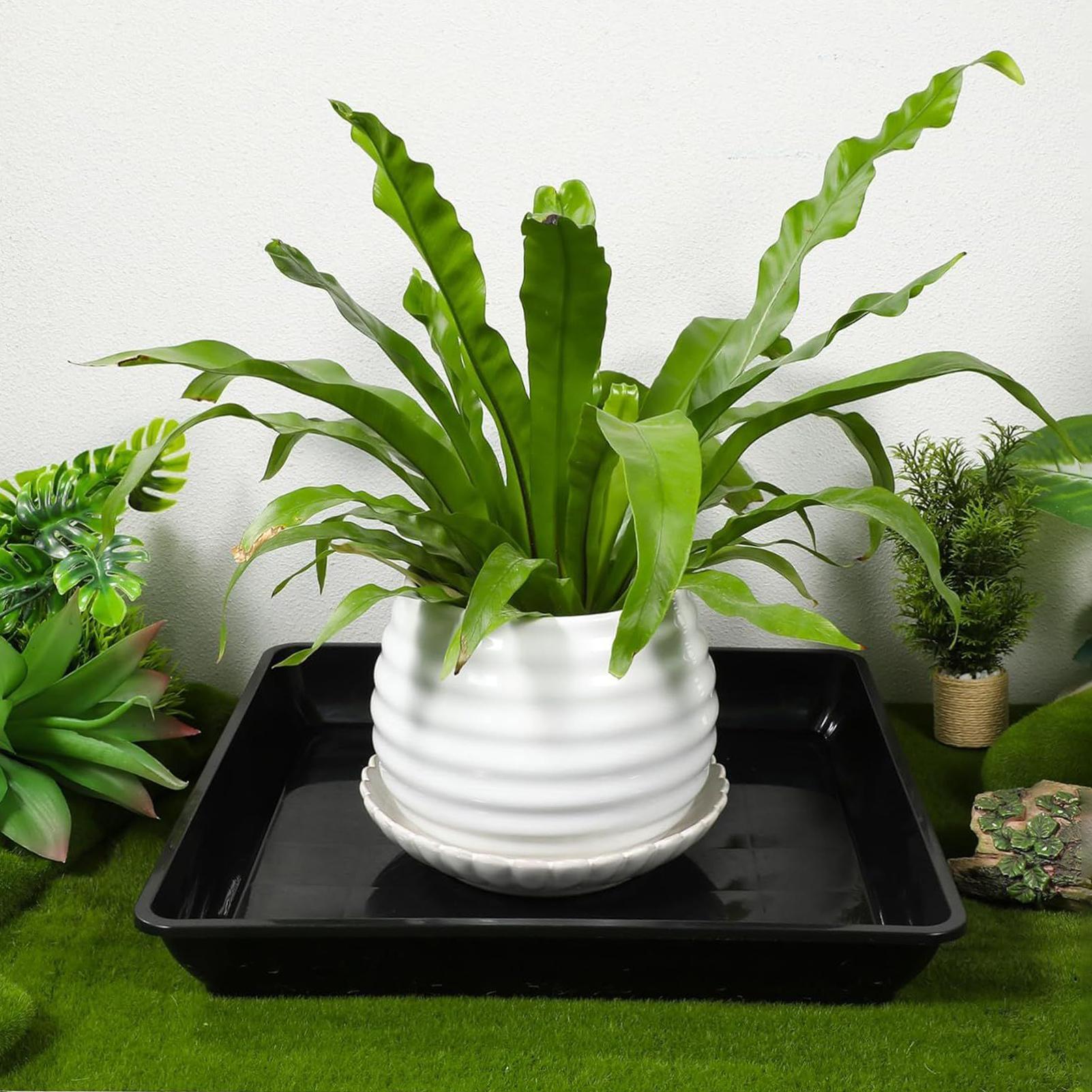 Flower Pot Trays 2Pcs/set Gard - Drip Tray Saucer 评论和价格