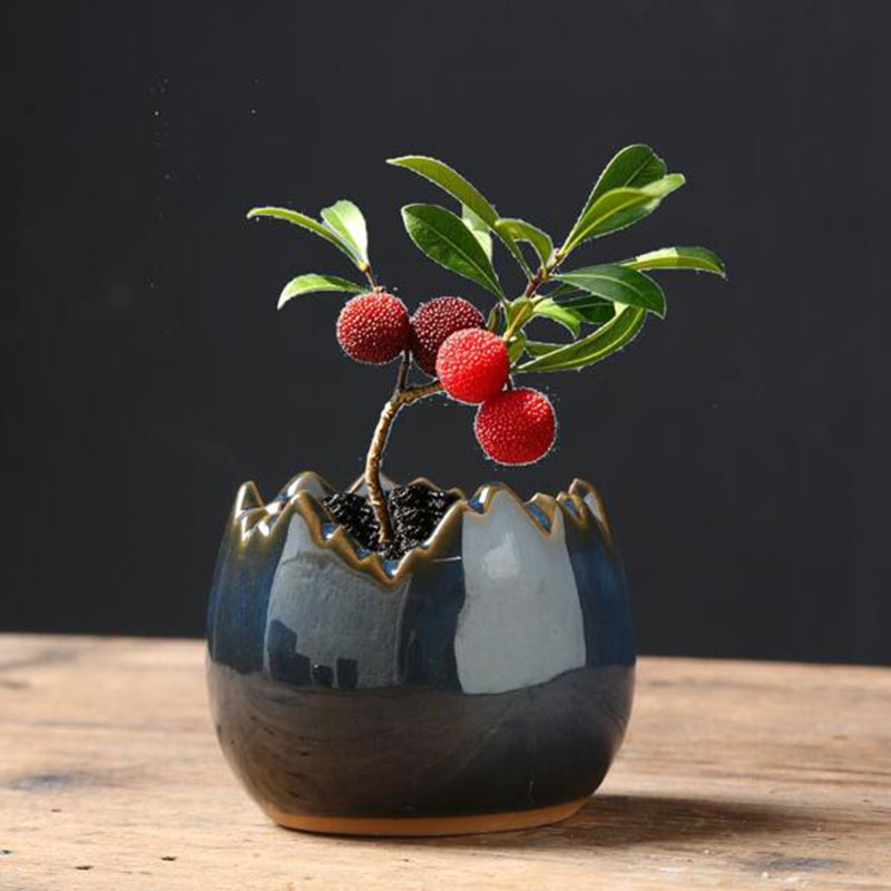 Kiln Transmutation Glazed Eggs - Bonsai Garden Art 评论和价格